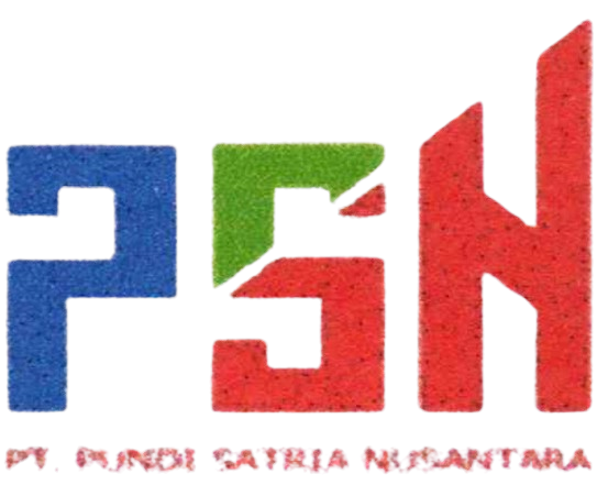 logo-psn.png